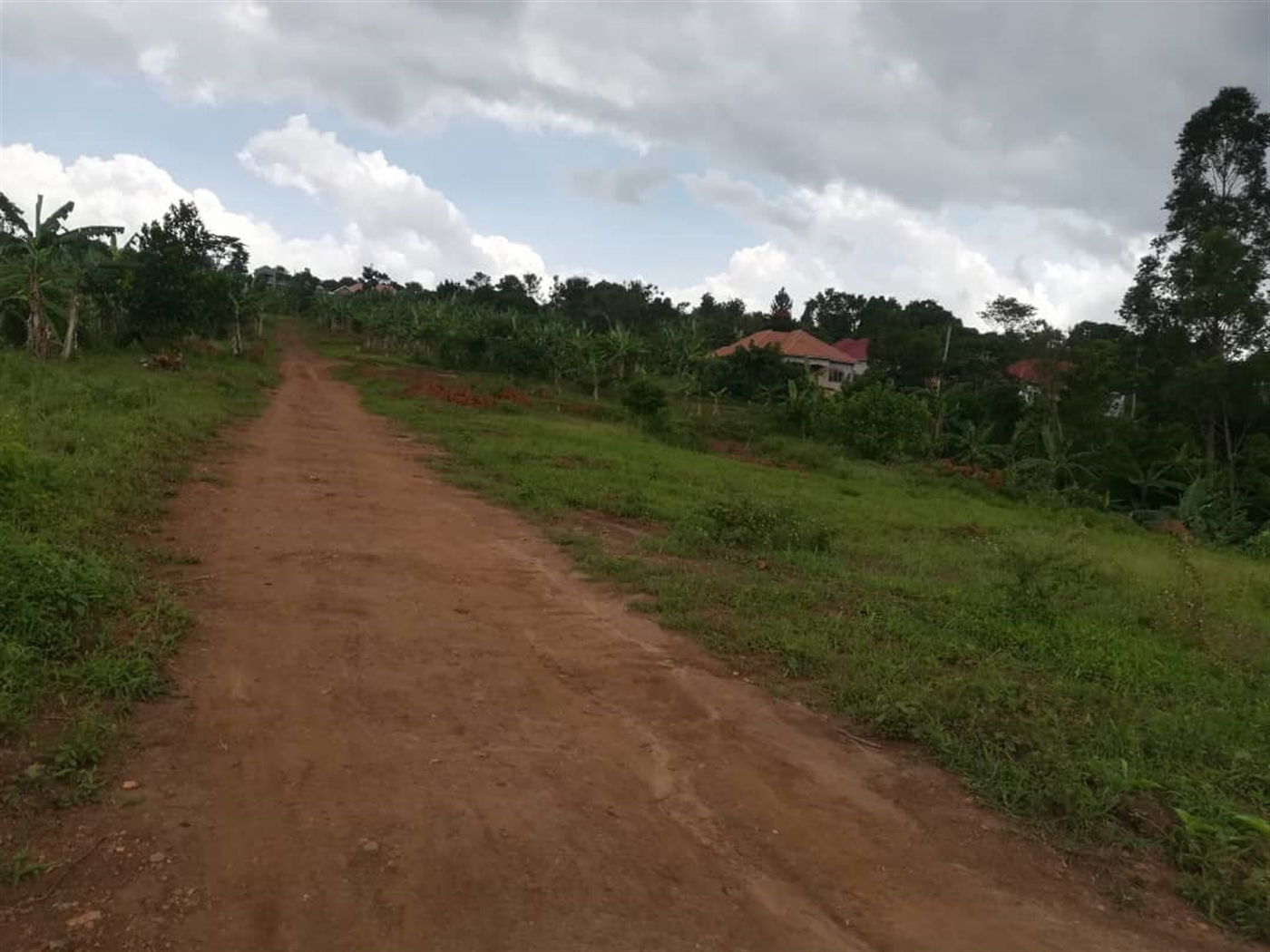 Residential Land for sale in Mpoma Mukono