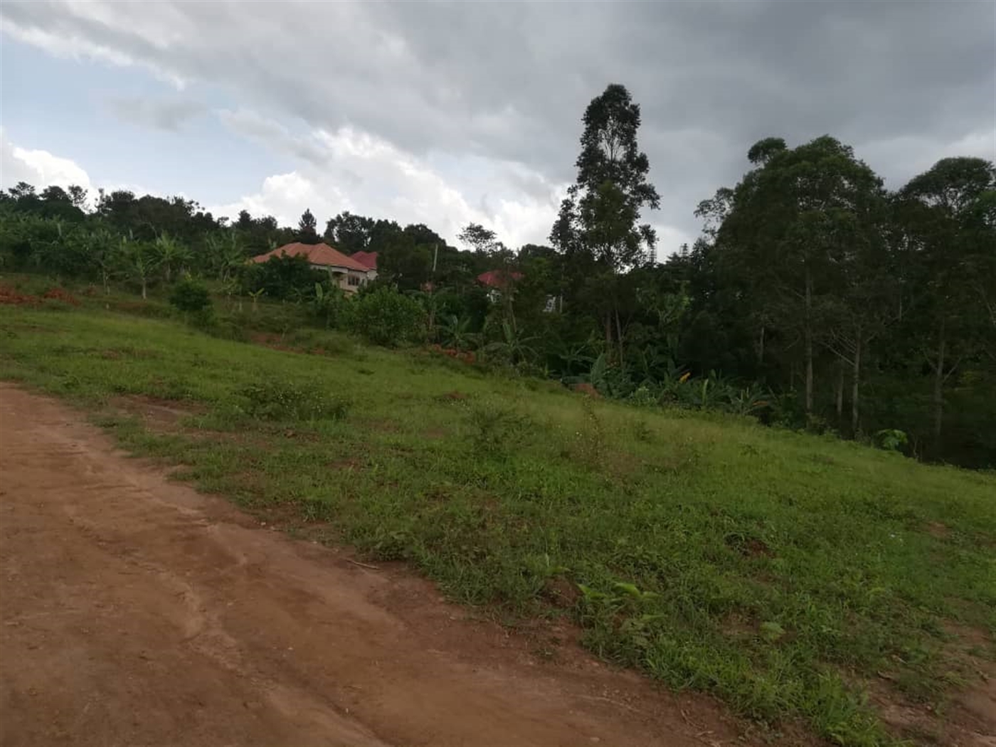 Residential Land for sale in Mpoma Mukono