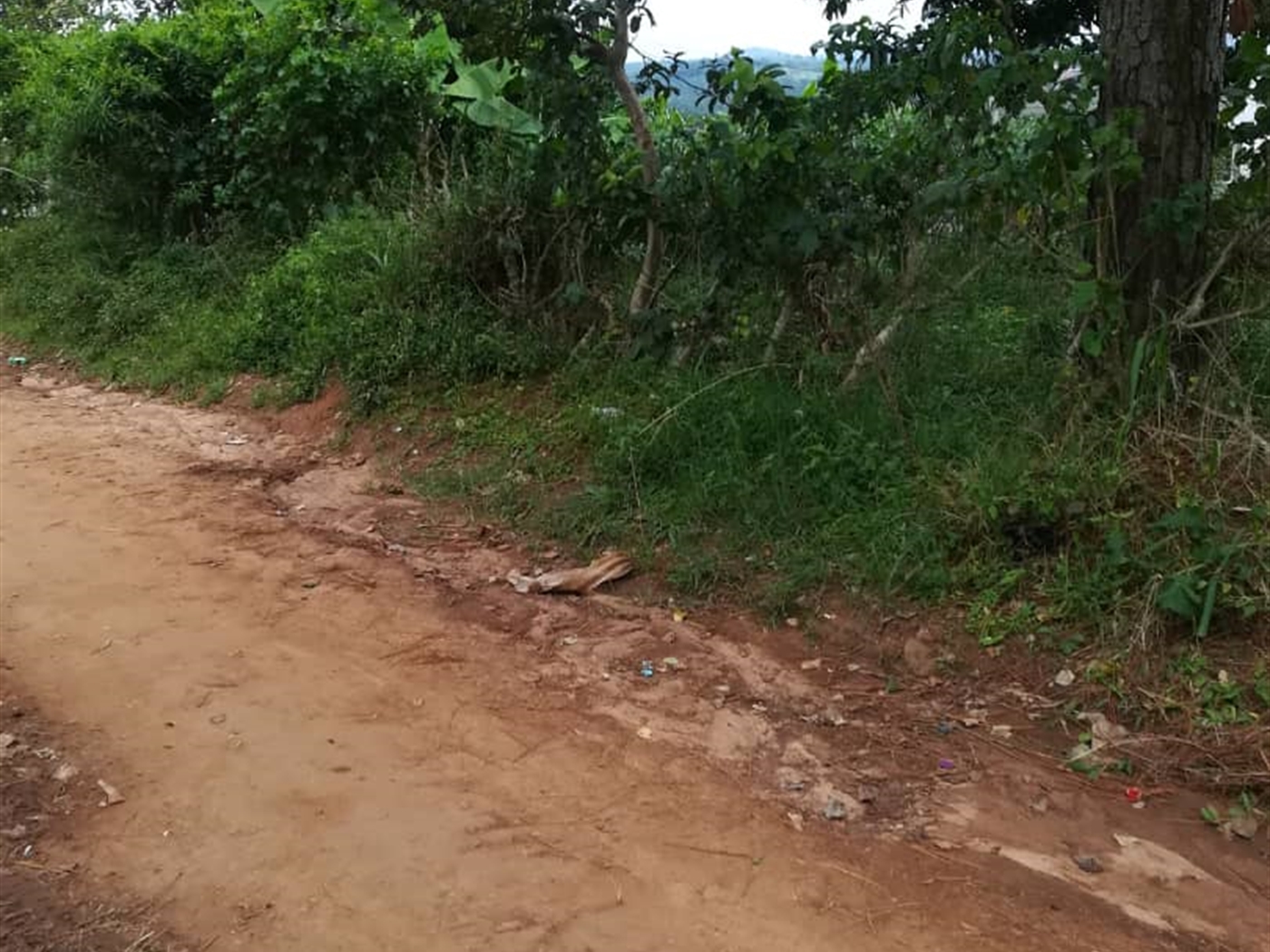 Residential Land for sale in Mpoma Mukono