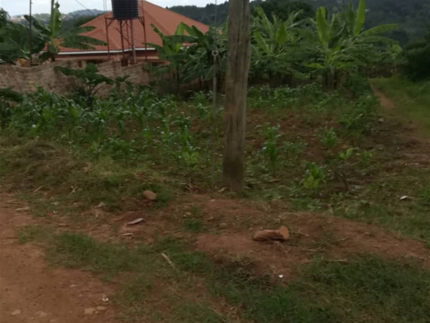 Residential Land for sale in Mpoma Mukono