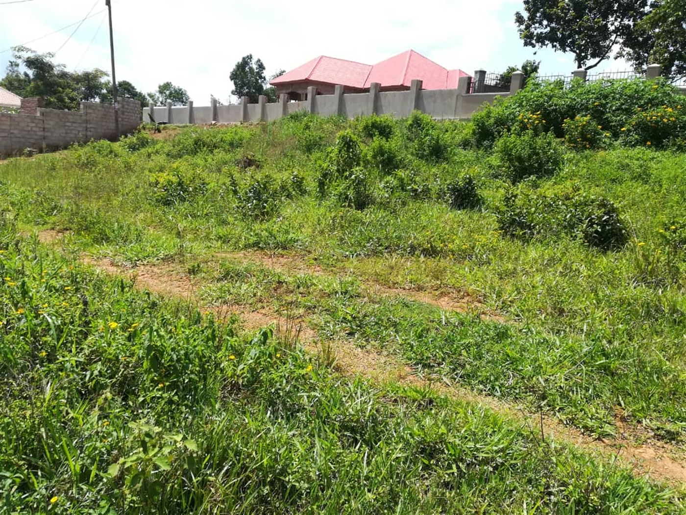 Residential Land for sale in Mpoma Mukono