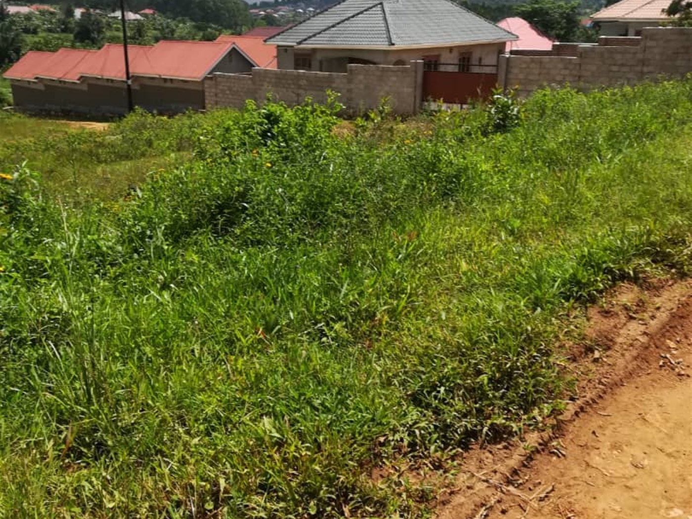 Residential Land for sale in Mpoma Mukono