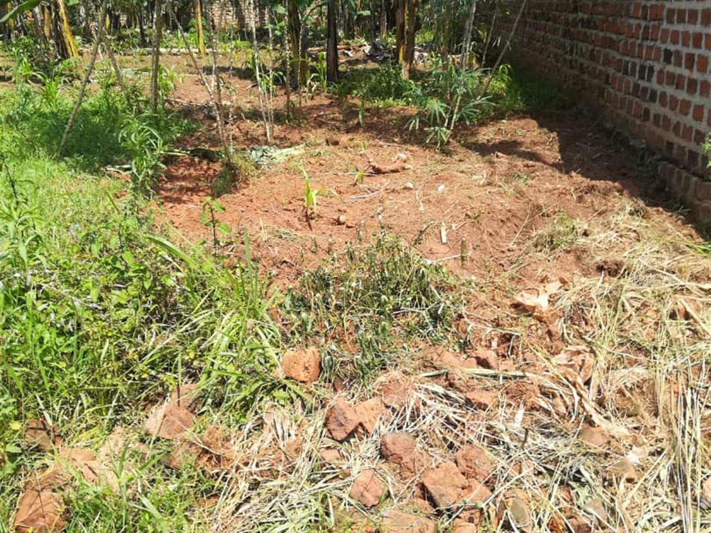 Residential Land for sale in Mpoma Mukono