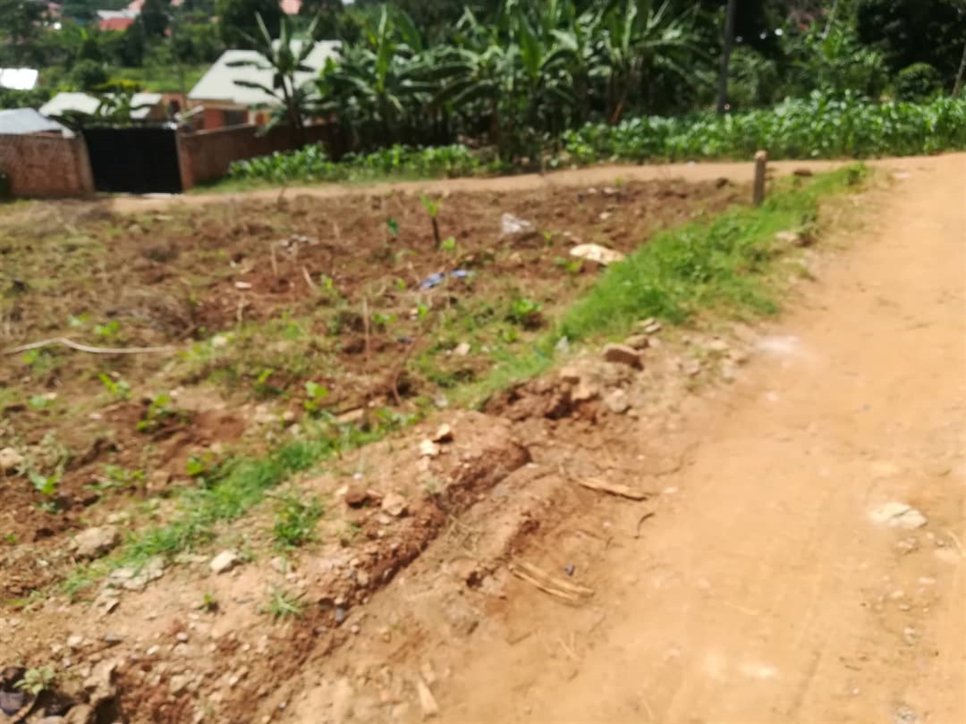 Residential Land for sale in Mpoma Mukono