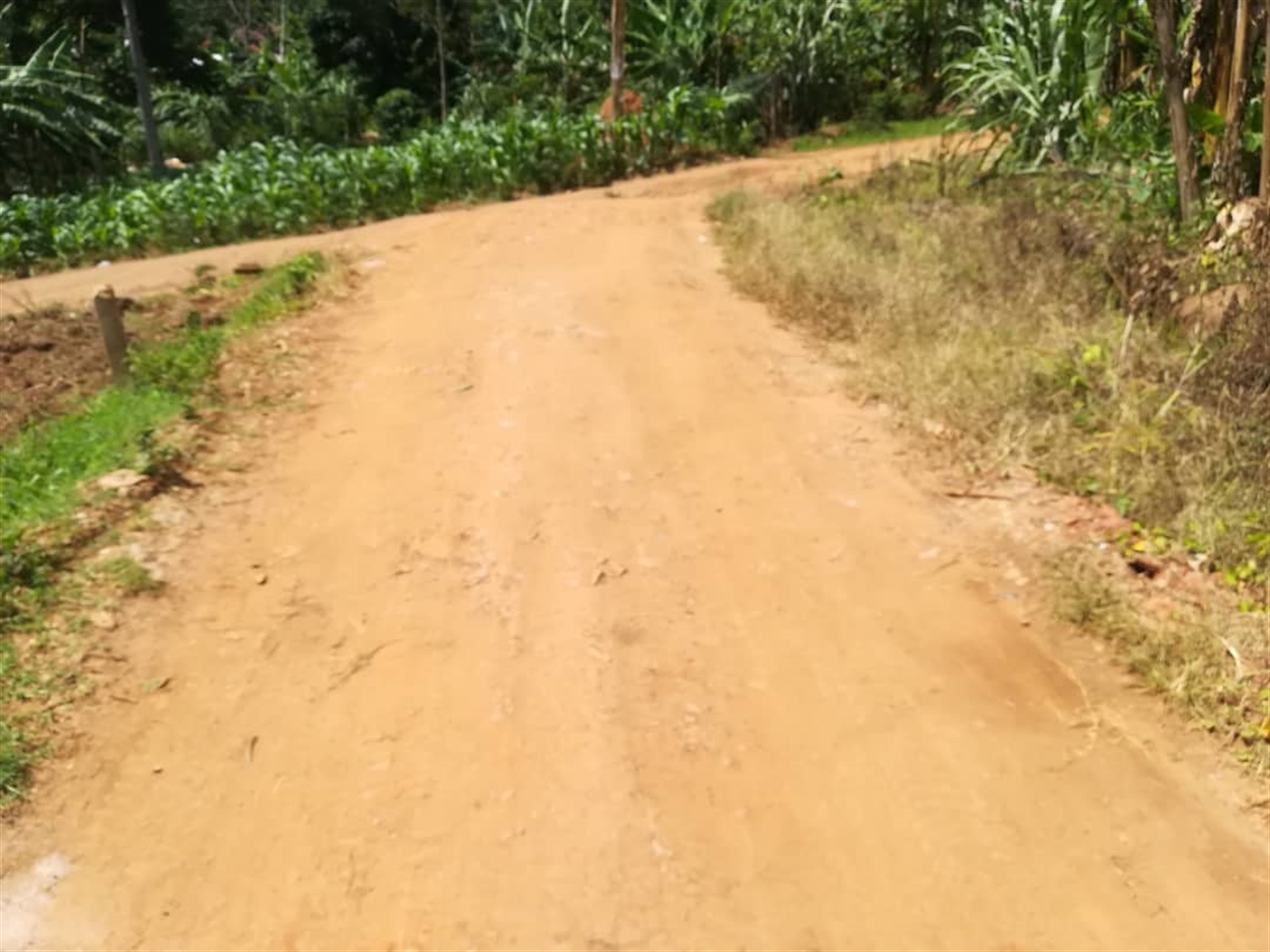 Residential Land for sale in Mpoma Mukono