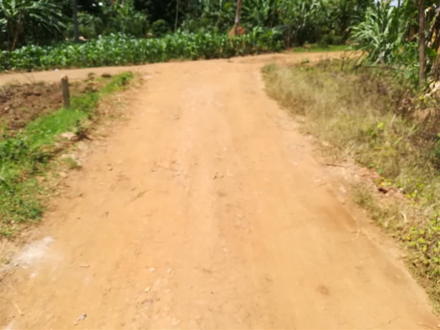 Residential Land for sale in Mpoma Mukono