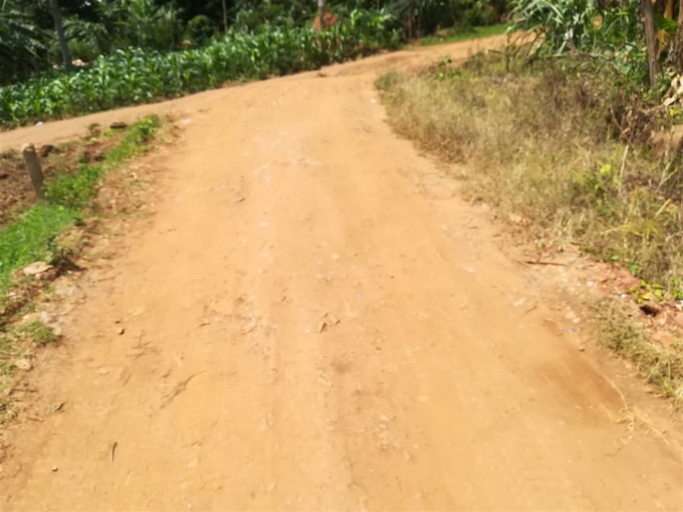 Residential Land for sale in Mpoma Mukono