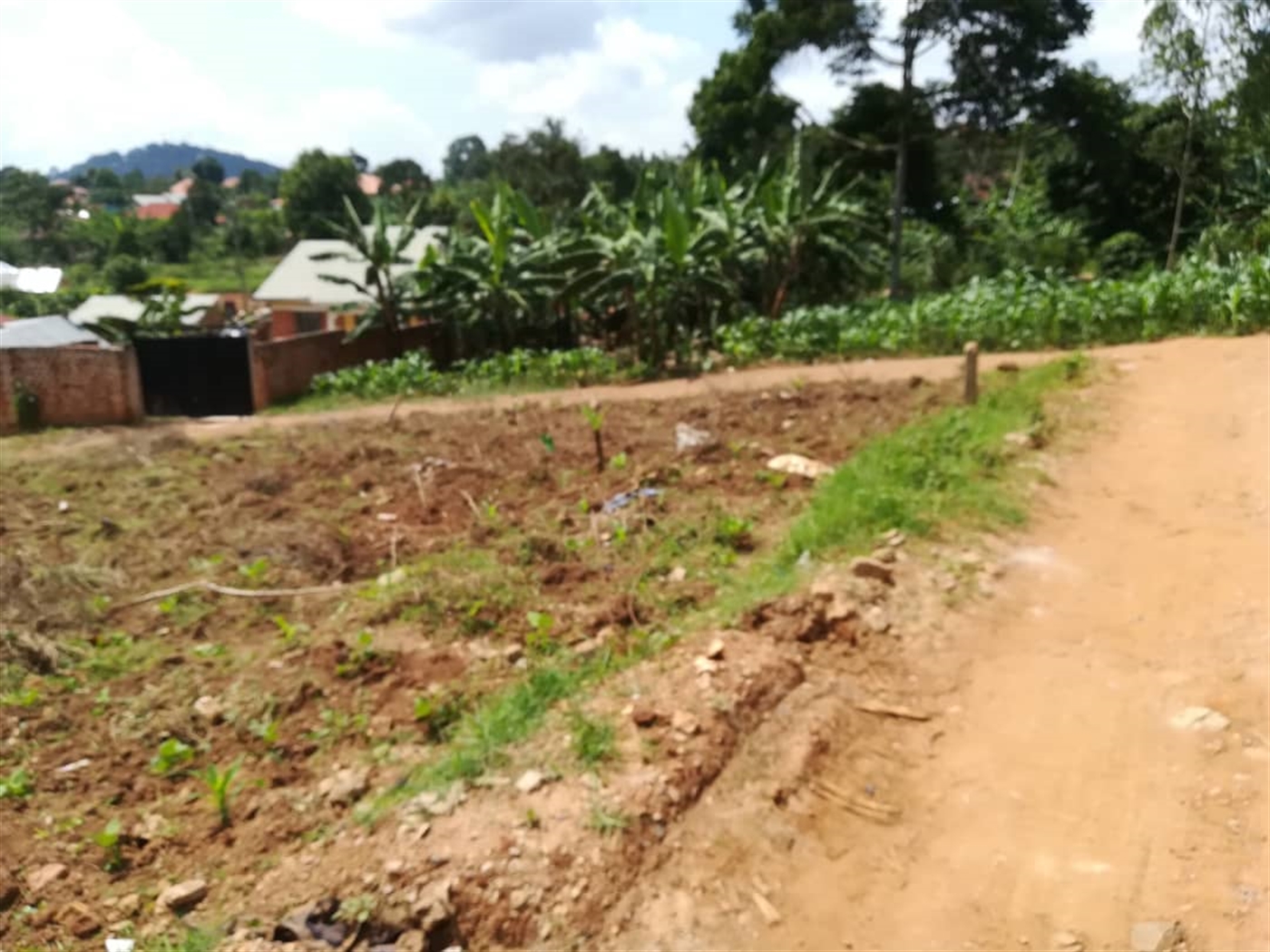 Residential Land for sale in Mpoma Mukono