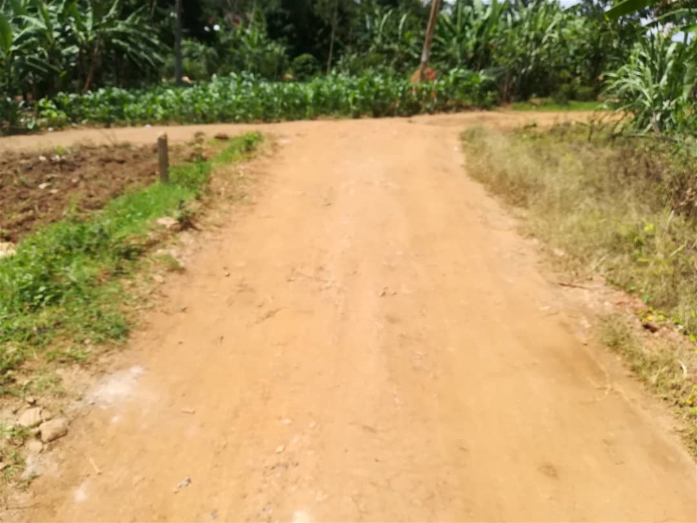 Residential Land for sale in Mpoma Mukono