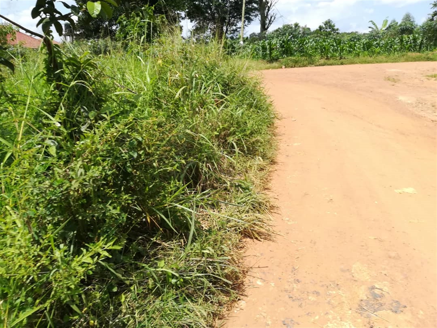 Residential Land for sale in Mpoma Mukono