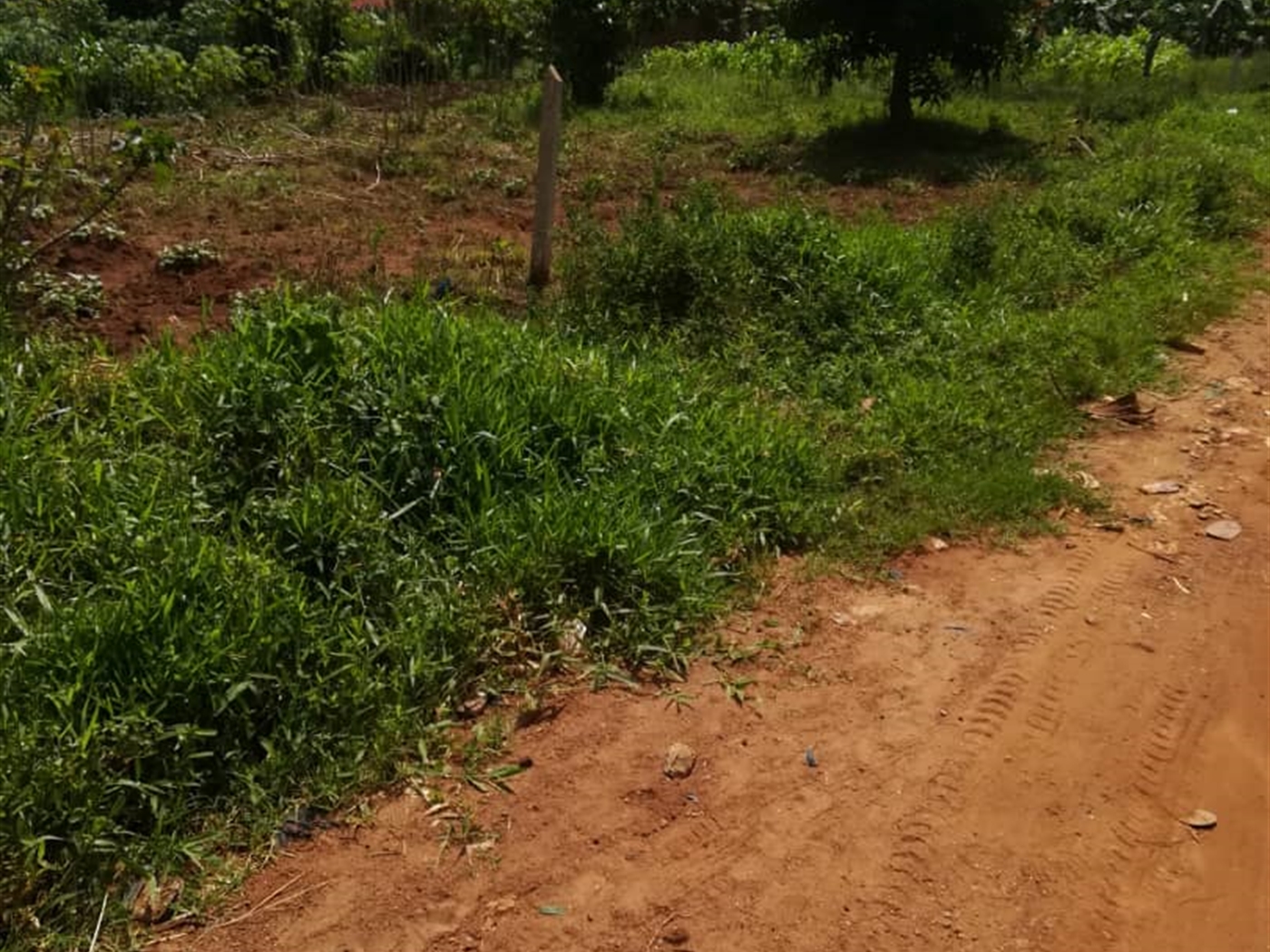 Residential Land for sale in Mpoma Mukono