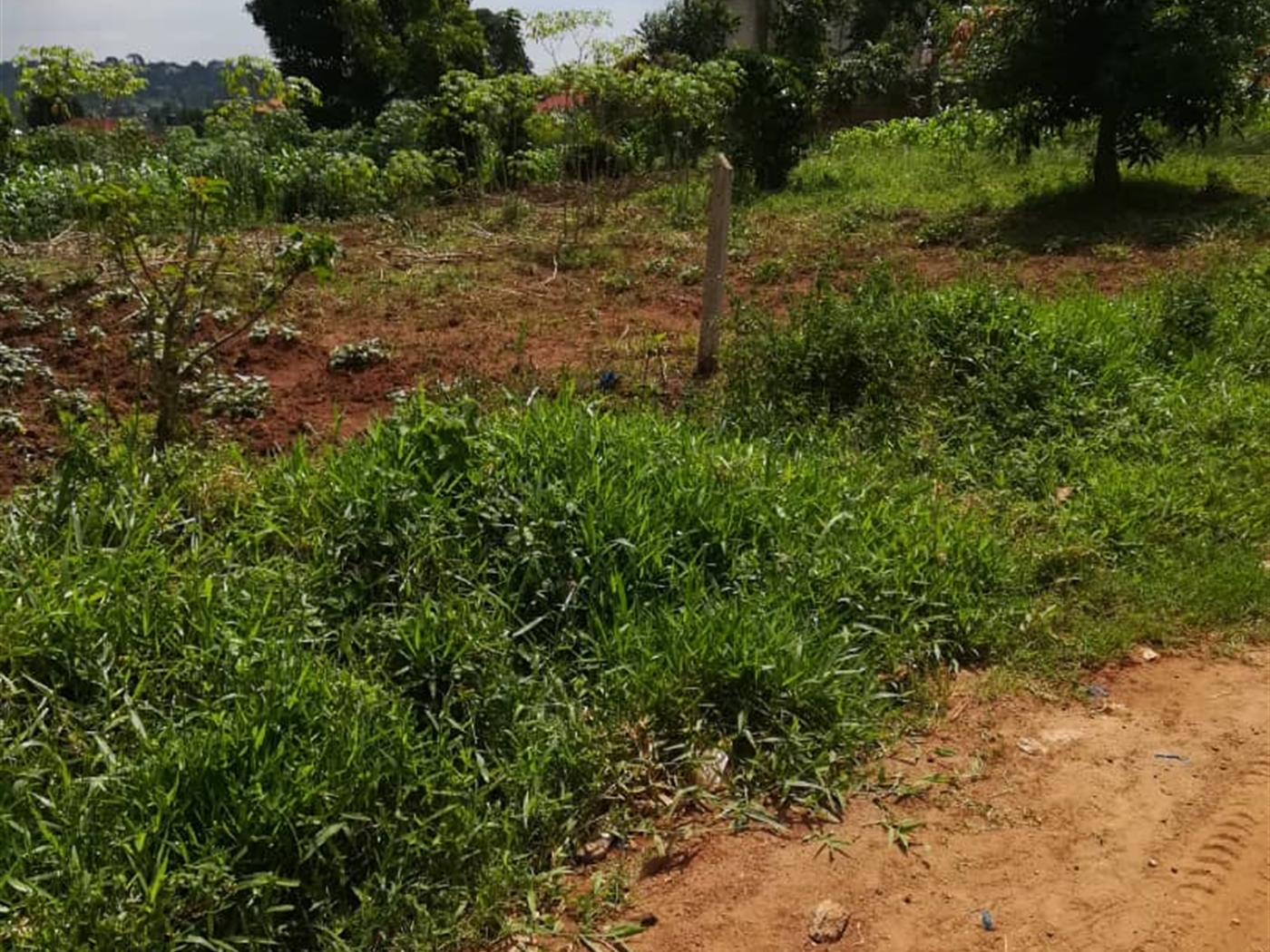 Residential Land for sale in Mpoma Mukono