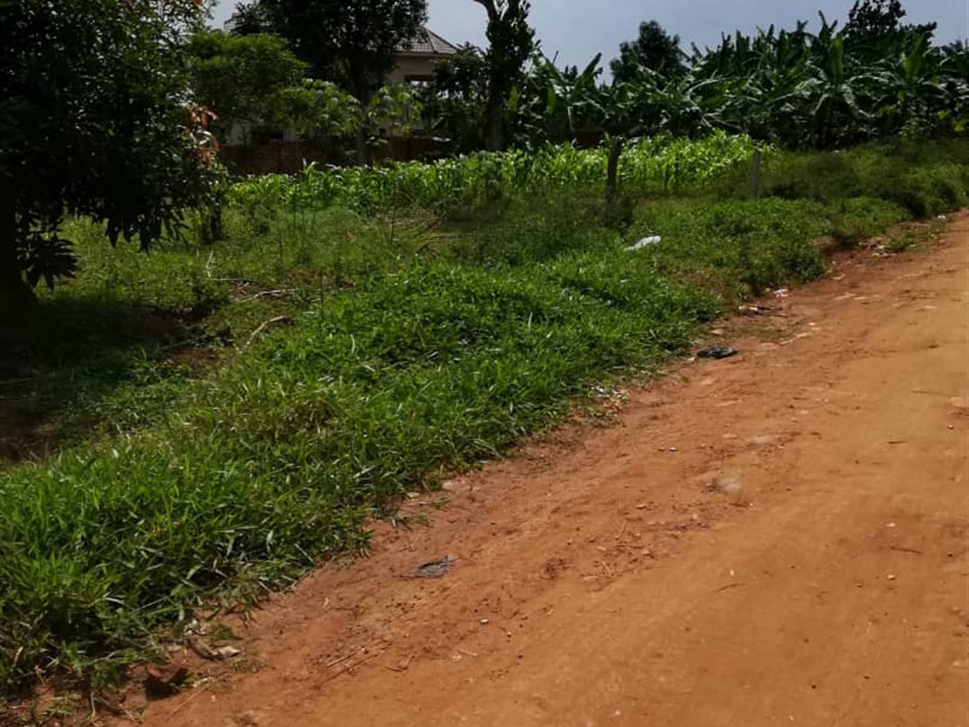 Residential Land for sale in Mpoma Mukono