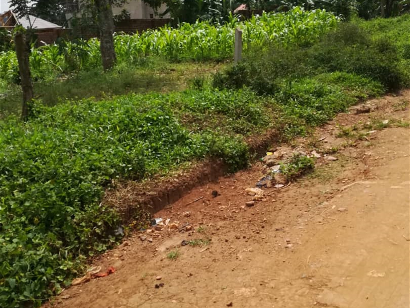 Residential Land for sale in Mpoma Mukono