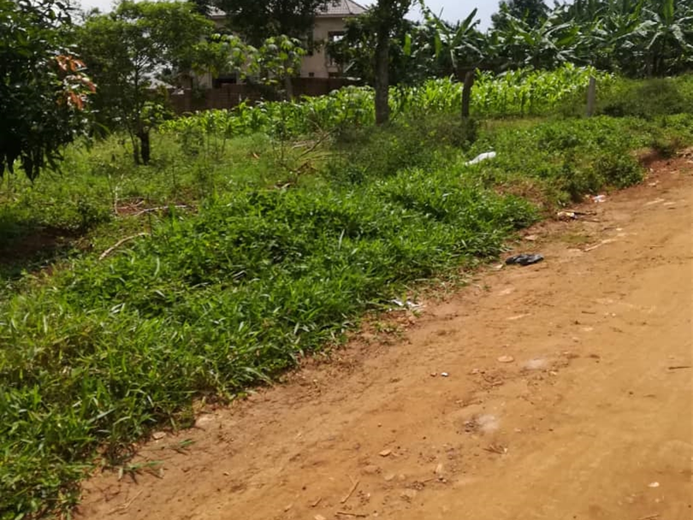 Residential Land for sale in Mpoma Mukono