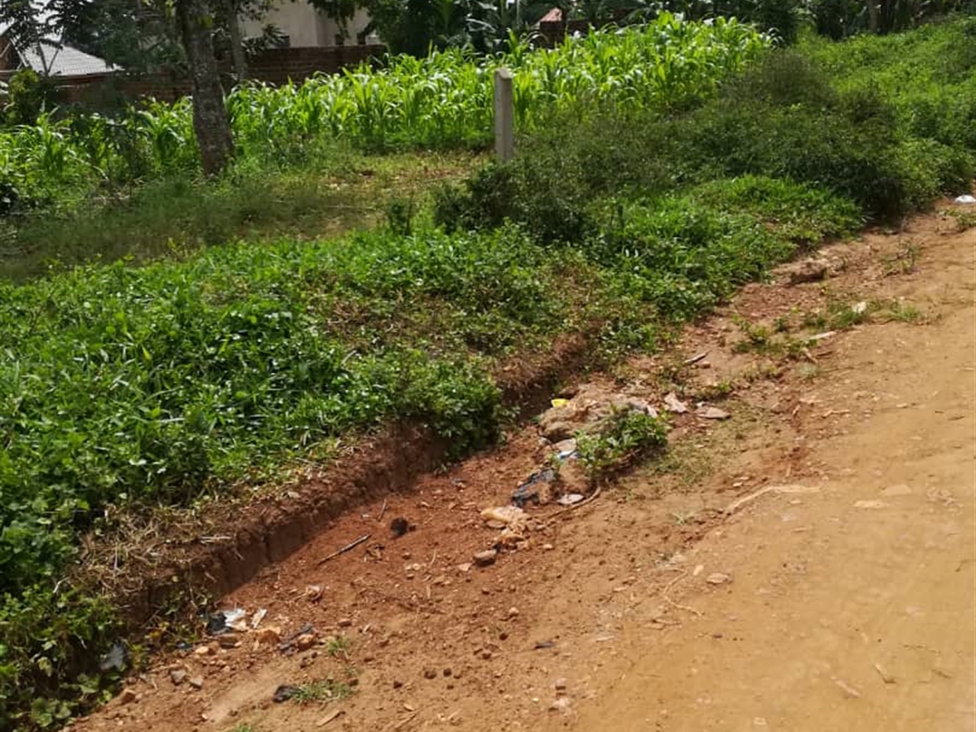 Residential Land for sale in Mpoma Mukono