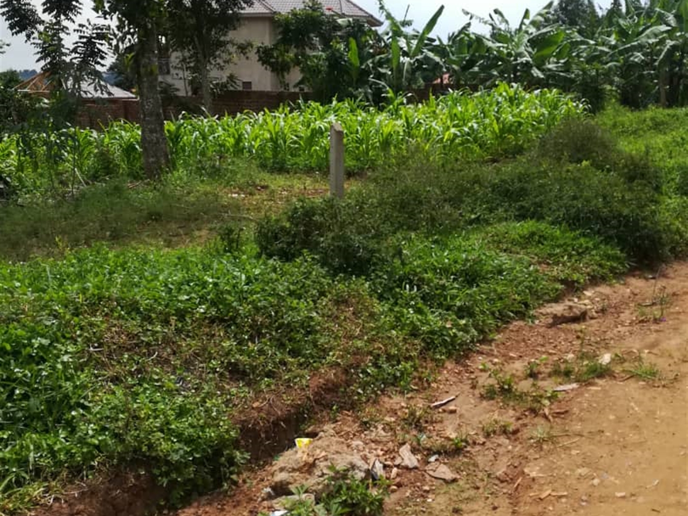 Residential Land for sale in Mpoma Mukono