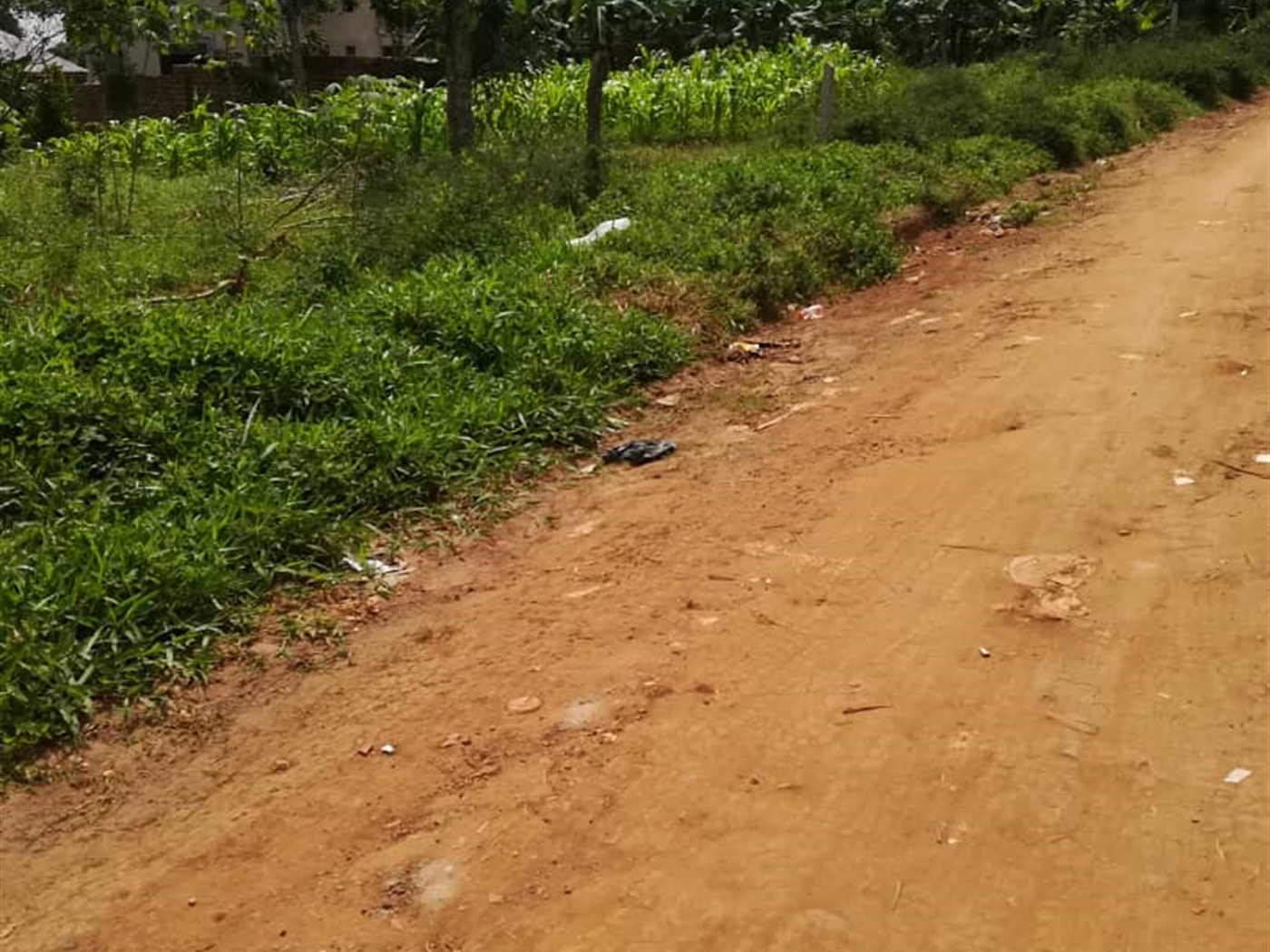 Residential Land for sale in Mpoma Mukono