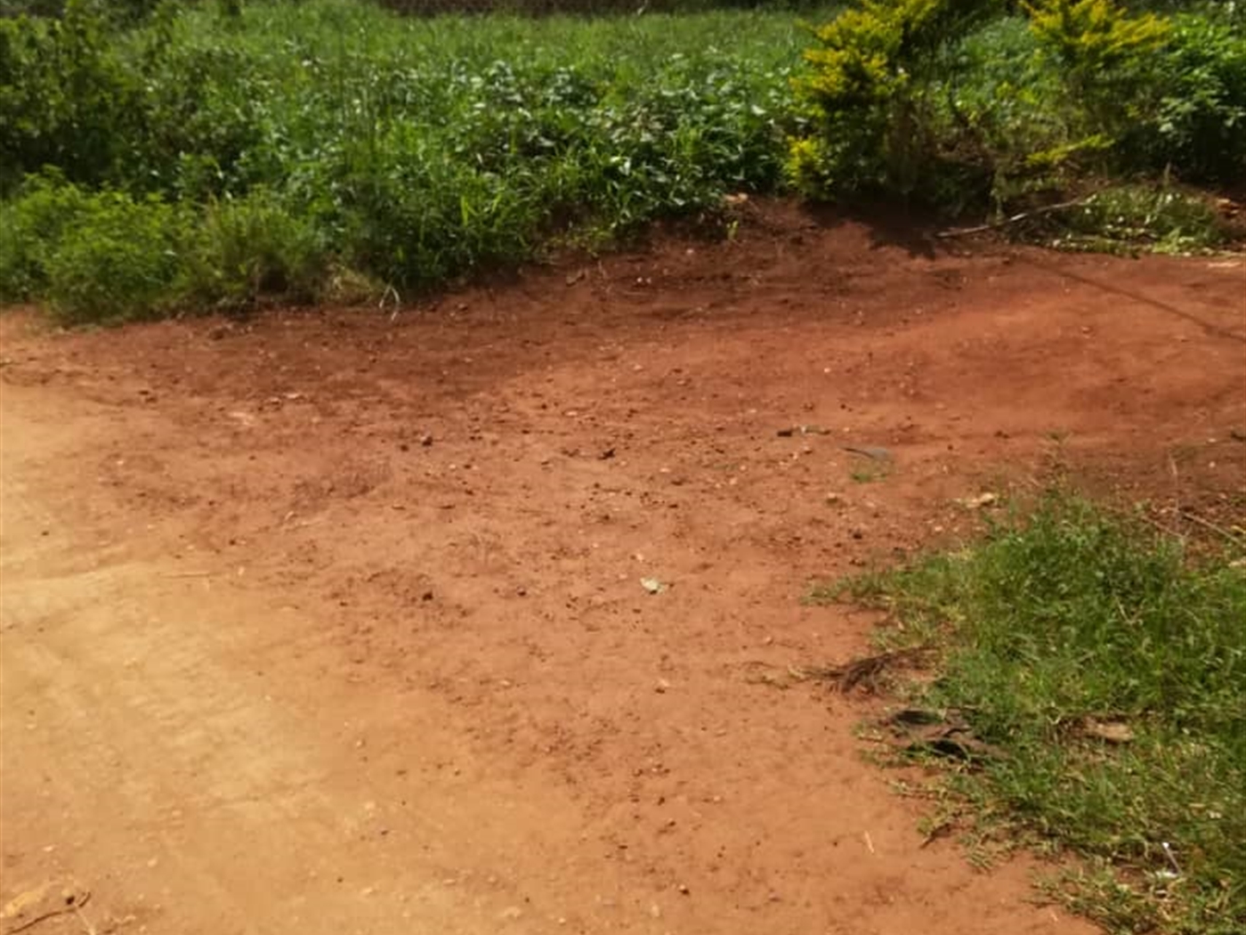 Residential Land for sale in Mpoma Mukono