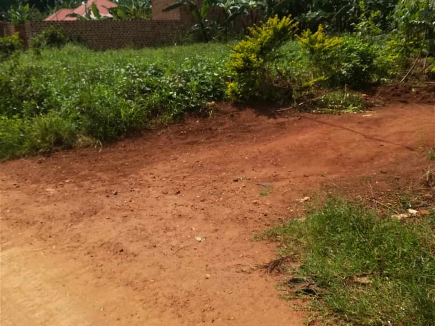 Residential Land for sale in Mpoma Mukono