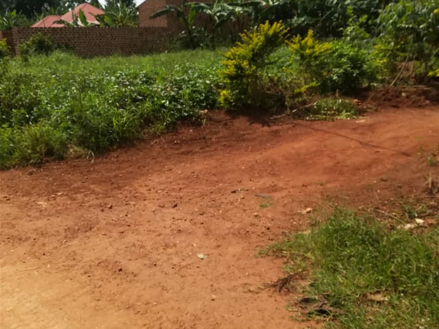 Residential Land for sale in Mpoma Mukono