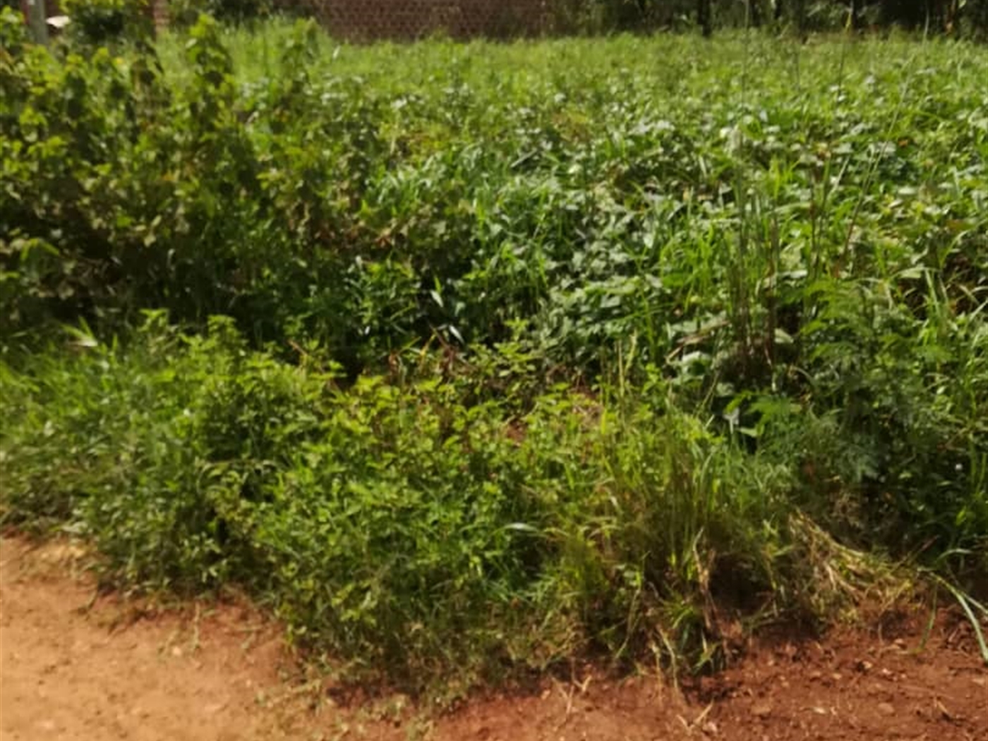 Residential Land for sale in Mpoma Mukono