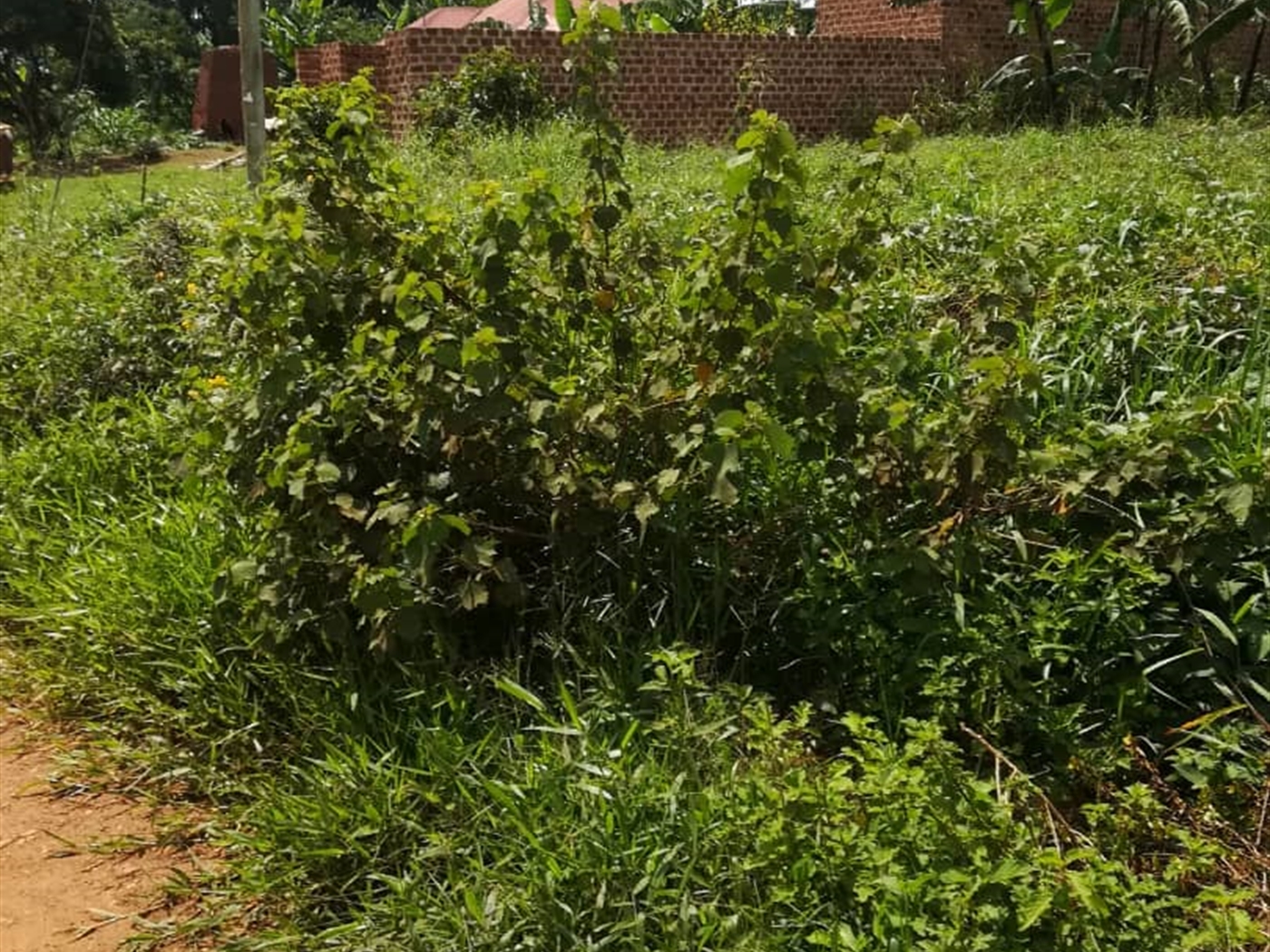 Residential Land for sale in Mpoma Mukono