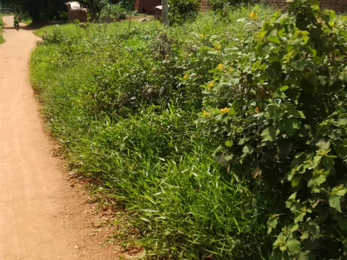 Residential Land for sale in Mpoma Mukono