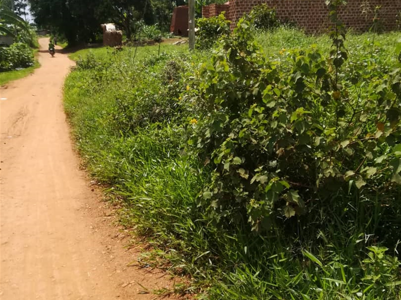 Residential Land for sale in Mpoma Mukono