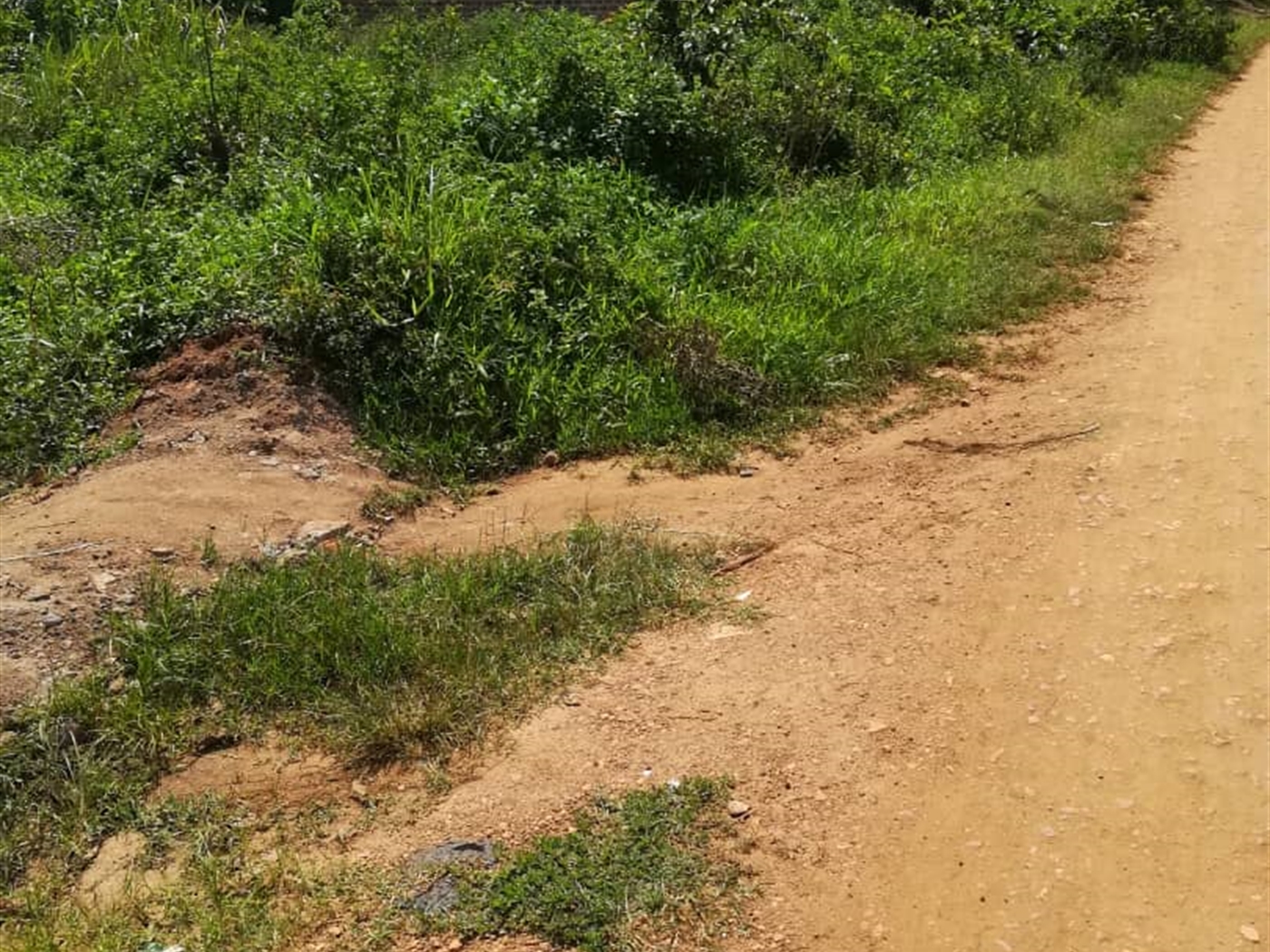 Residential Land for sale in Mpoma Mukono