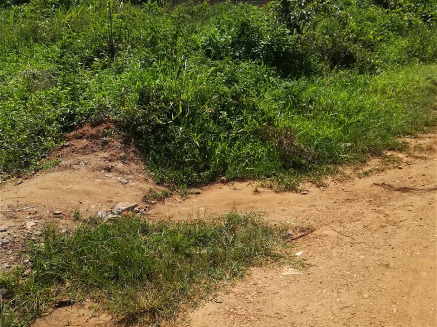 Residential Land for sale in Mpoma Mukono