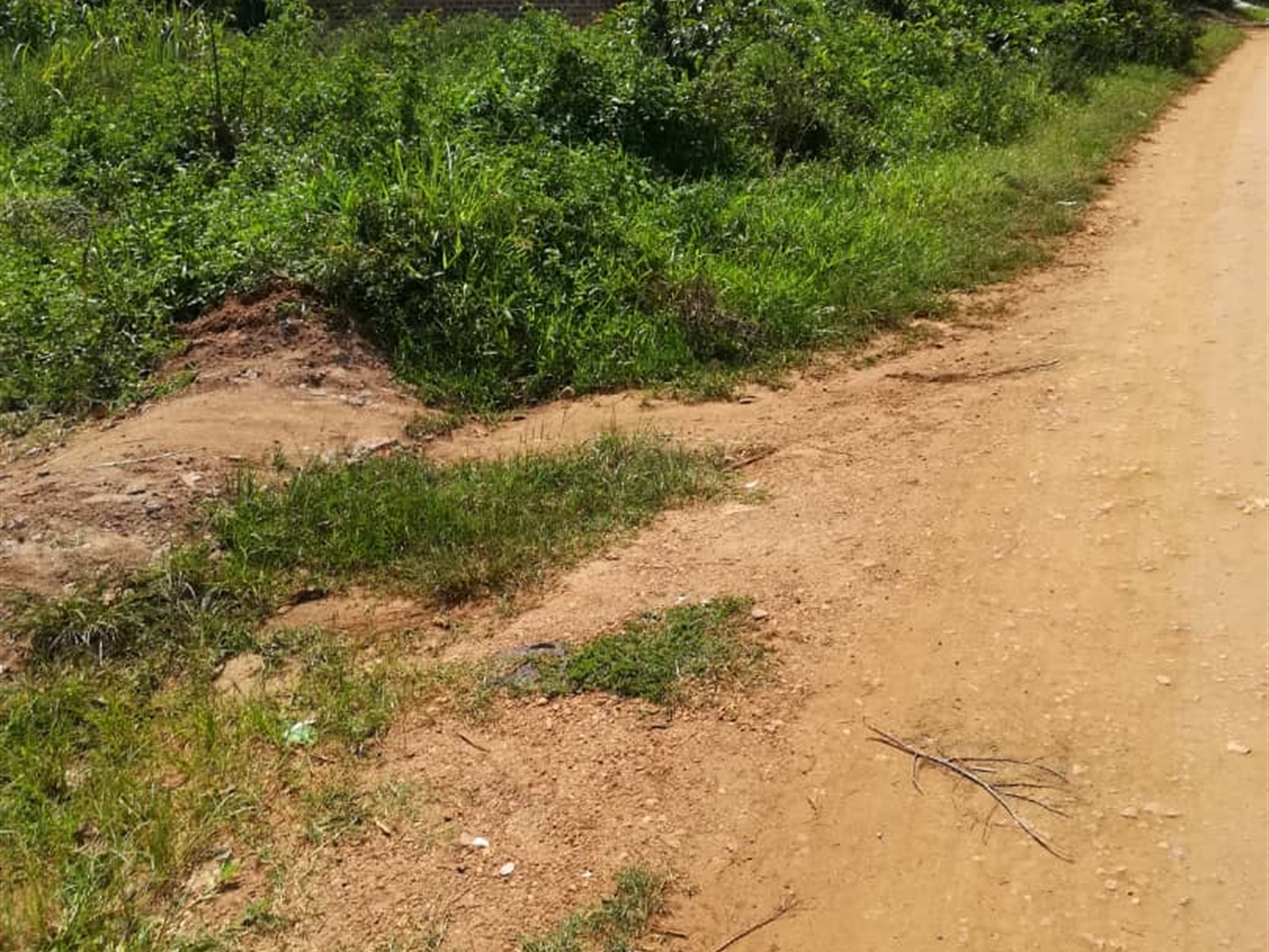 Residential Land for sale in Mpoma Mukono