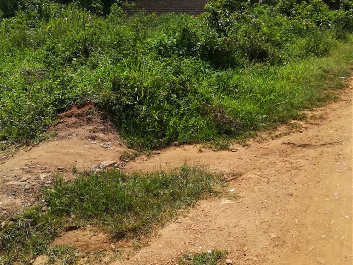 Residential Land for sale in Mpoma Mukono