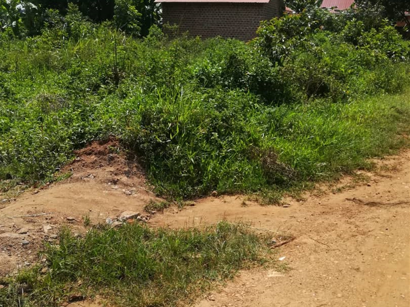 Residential Land for sale in Mpoma Mukono