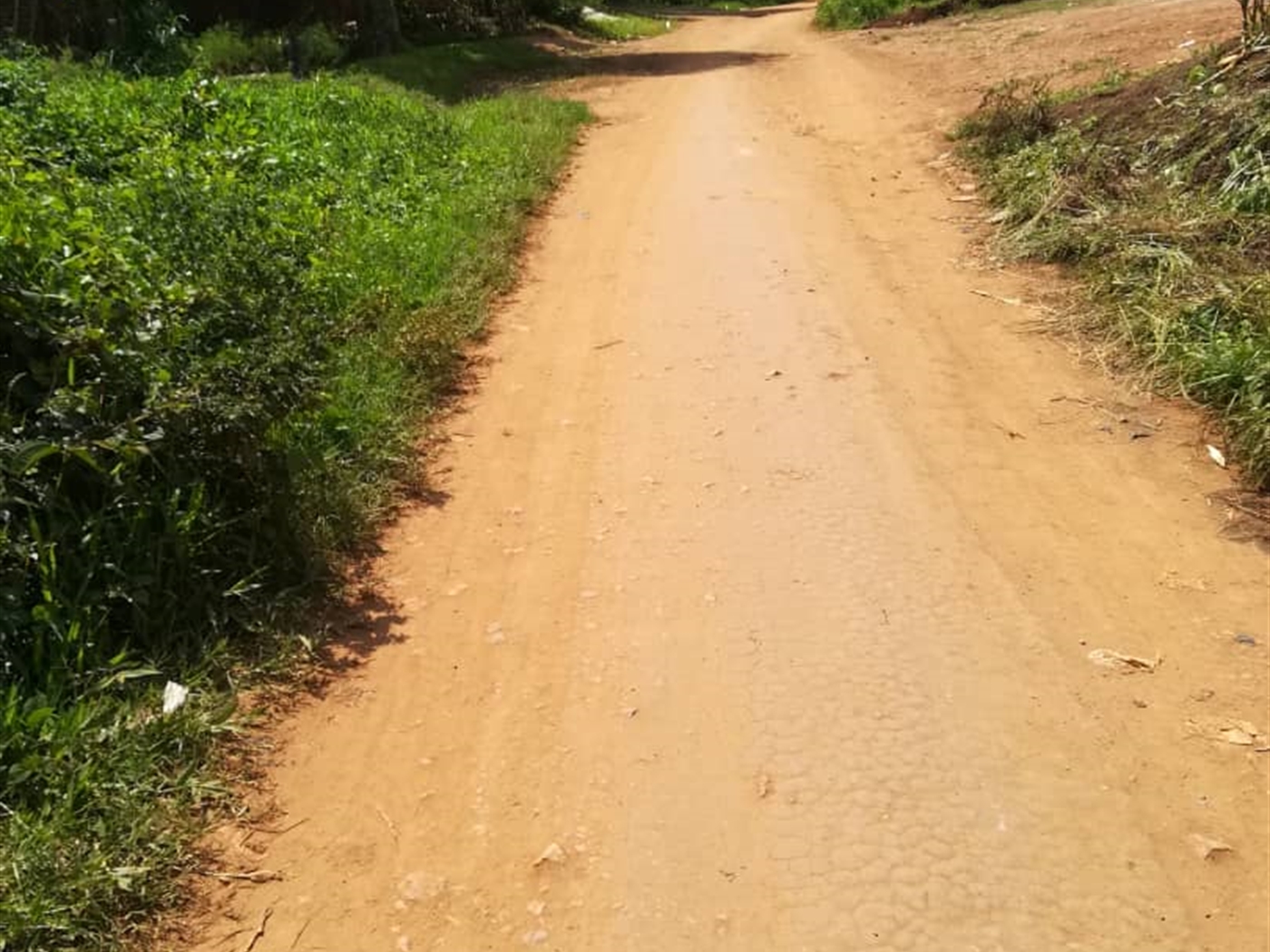 Residential Land for sale in Mpoma Mukono