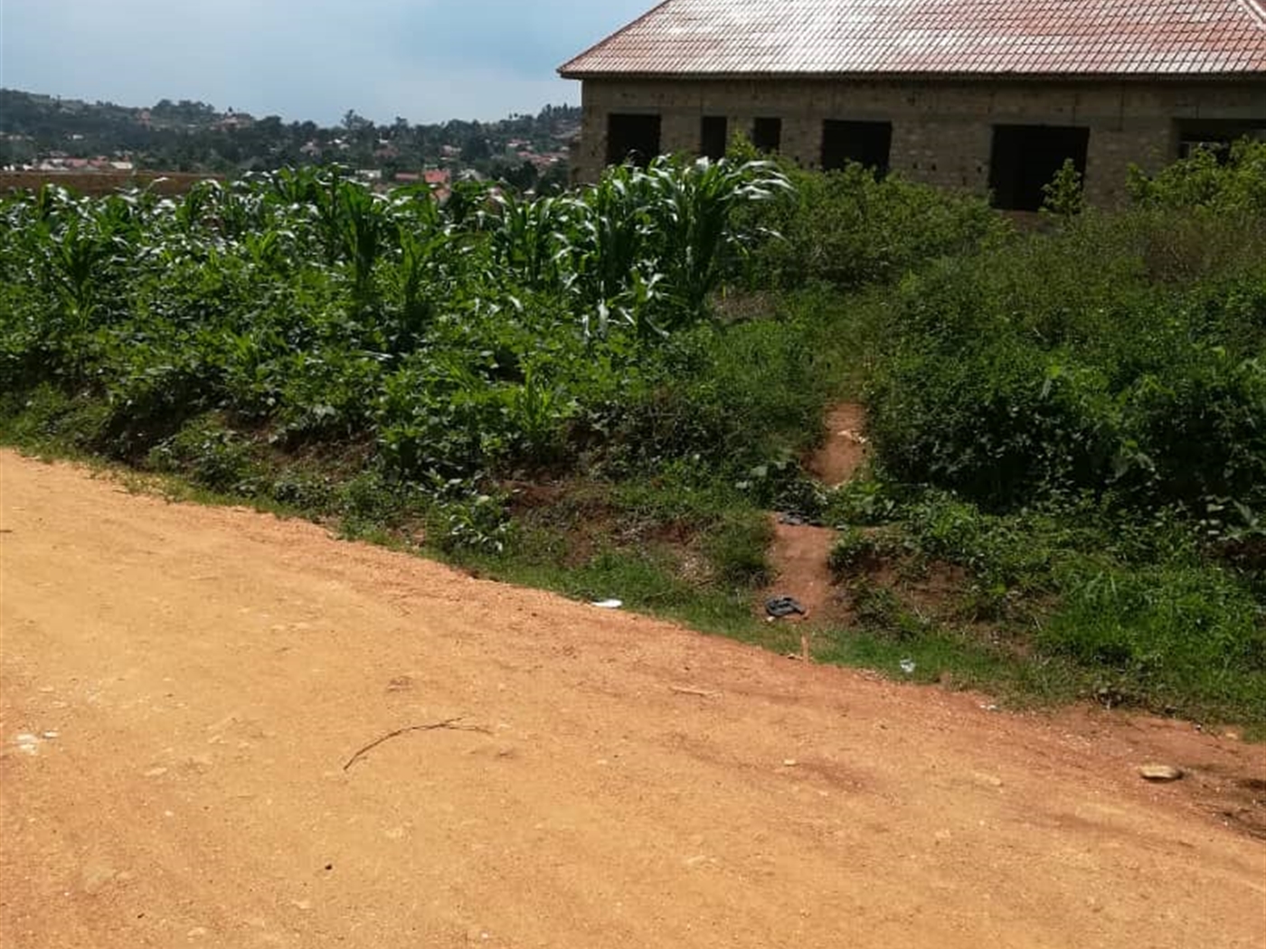 Residential Land for sale in Mpoma Mukono