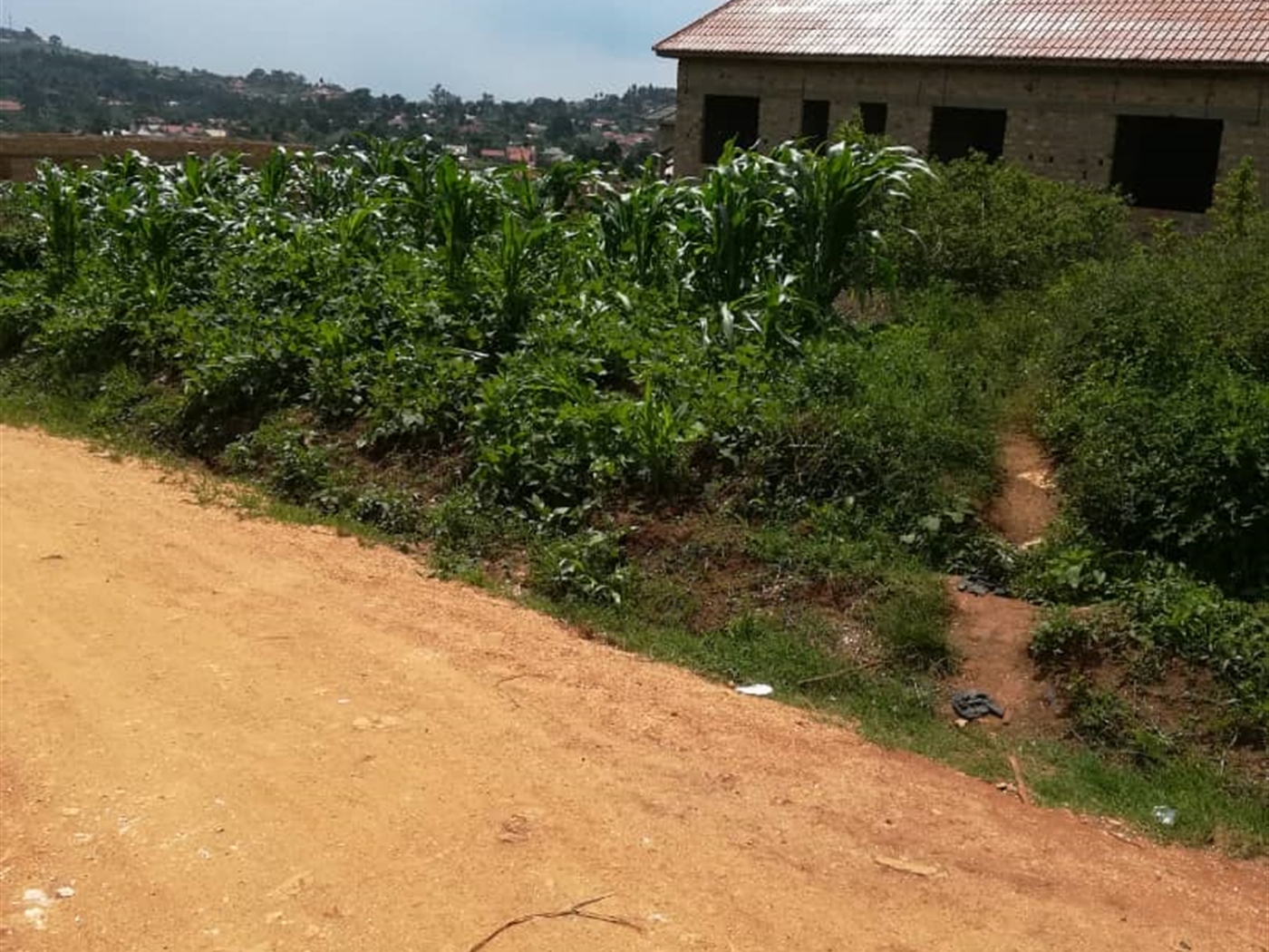 Residential Land for sale in Mpoma Mukono