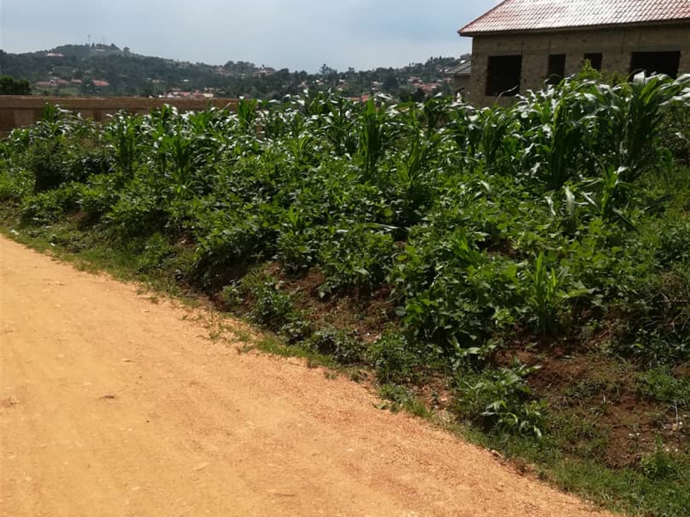 Residential Land for sale in Mpoma Mukono