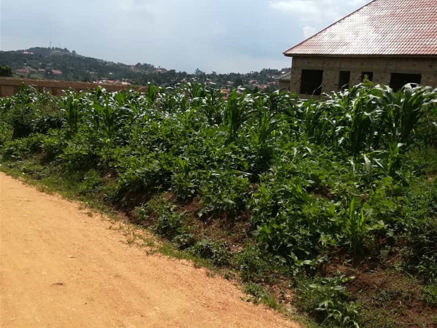 Residential Land for sale in Mpoma Mukono