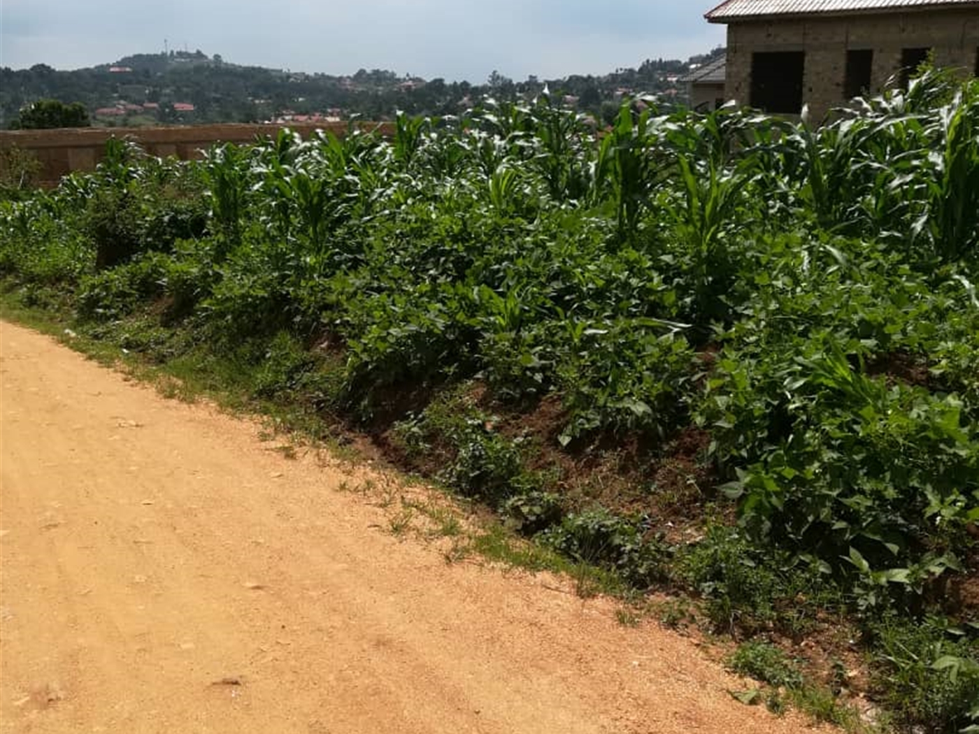 Residential Land for sale in Mpoma Mukono