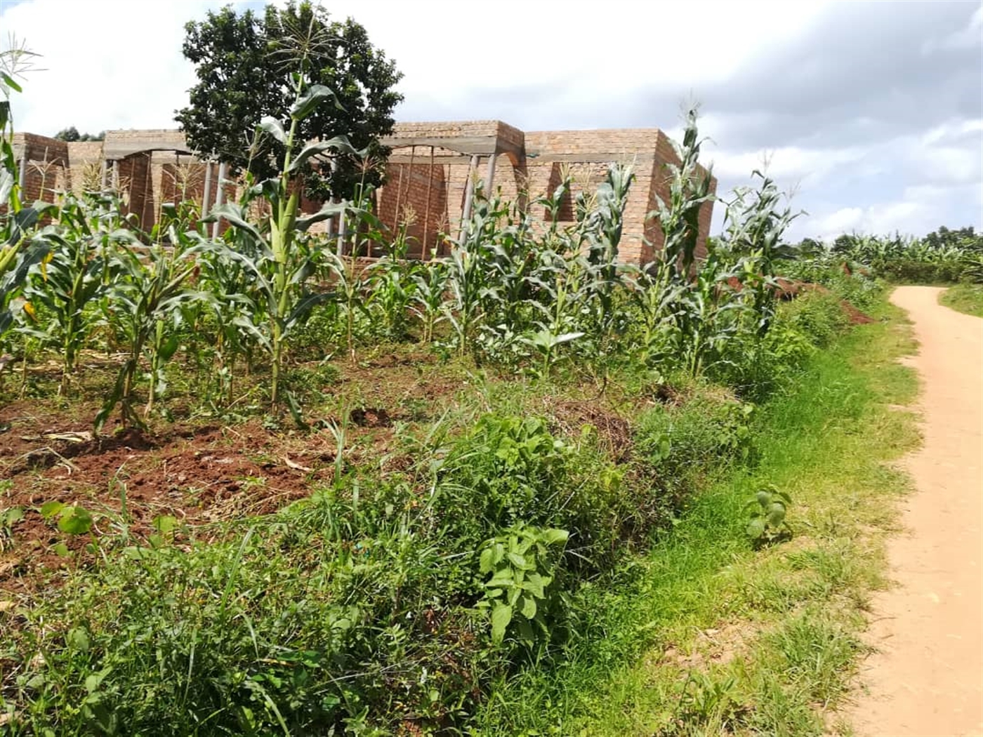 Residential Land for sale in Mpoma Mukono