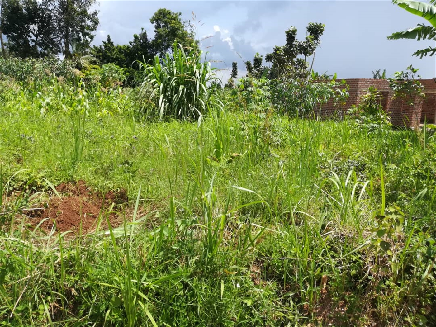 Residential Land for sale in Mpoma Mukono