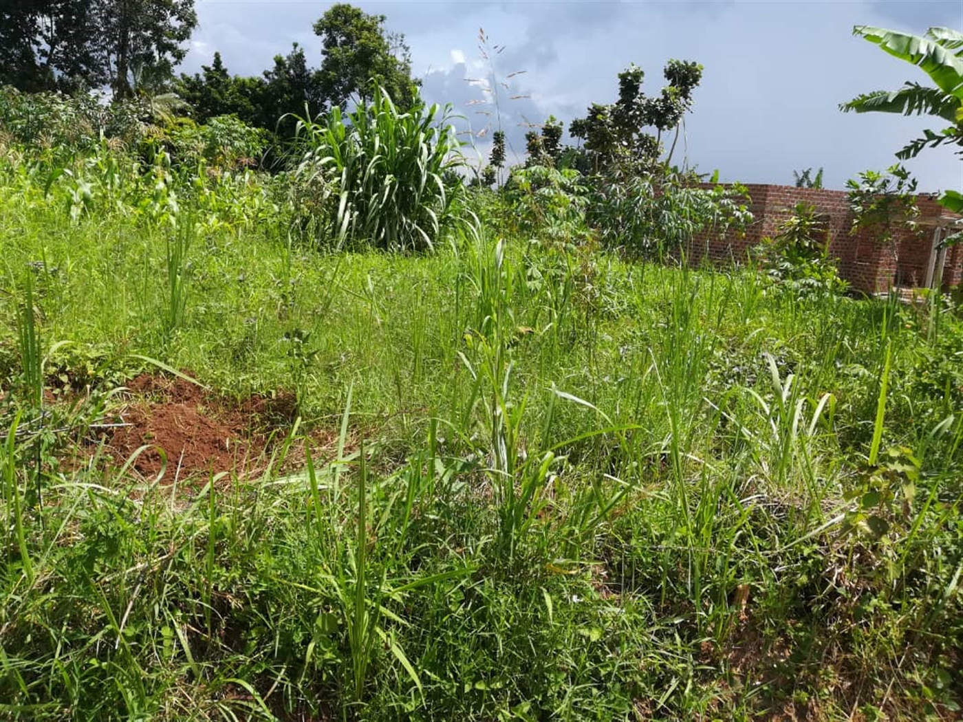 Residential Land for sale in Mpoma Mukono