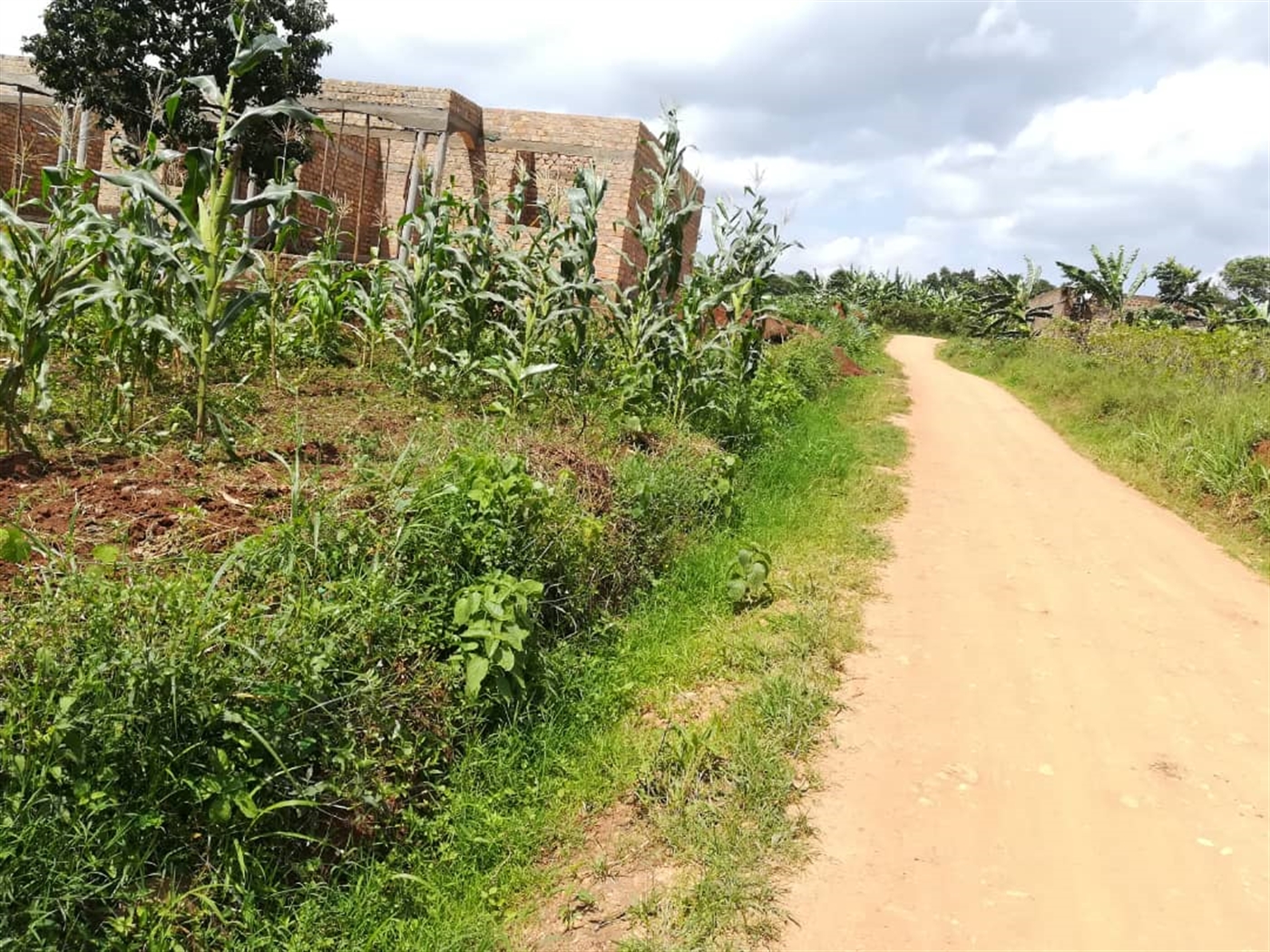 Residential Land for sale in Mpoma Mukono