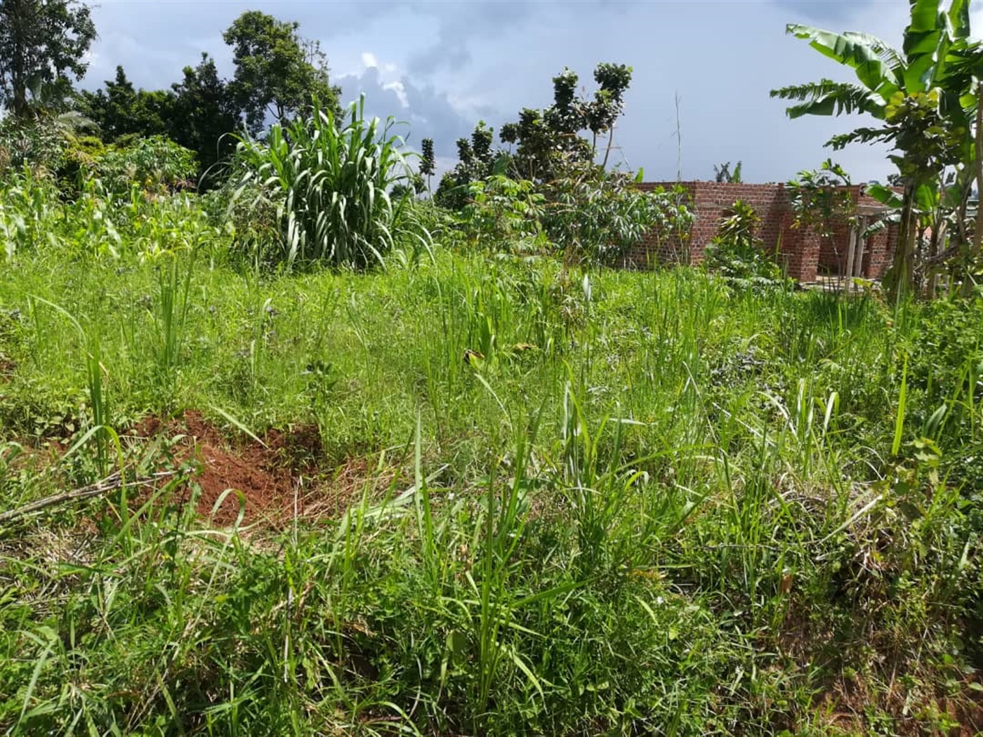 Residential Land for sale in Mpoma Mukono