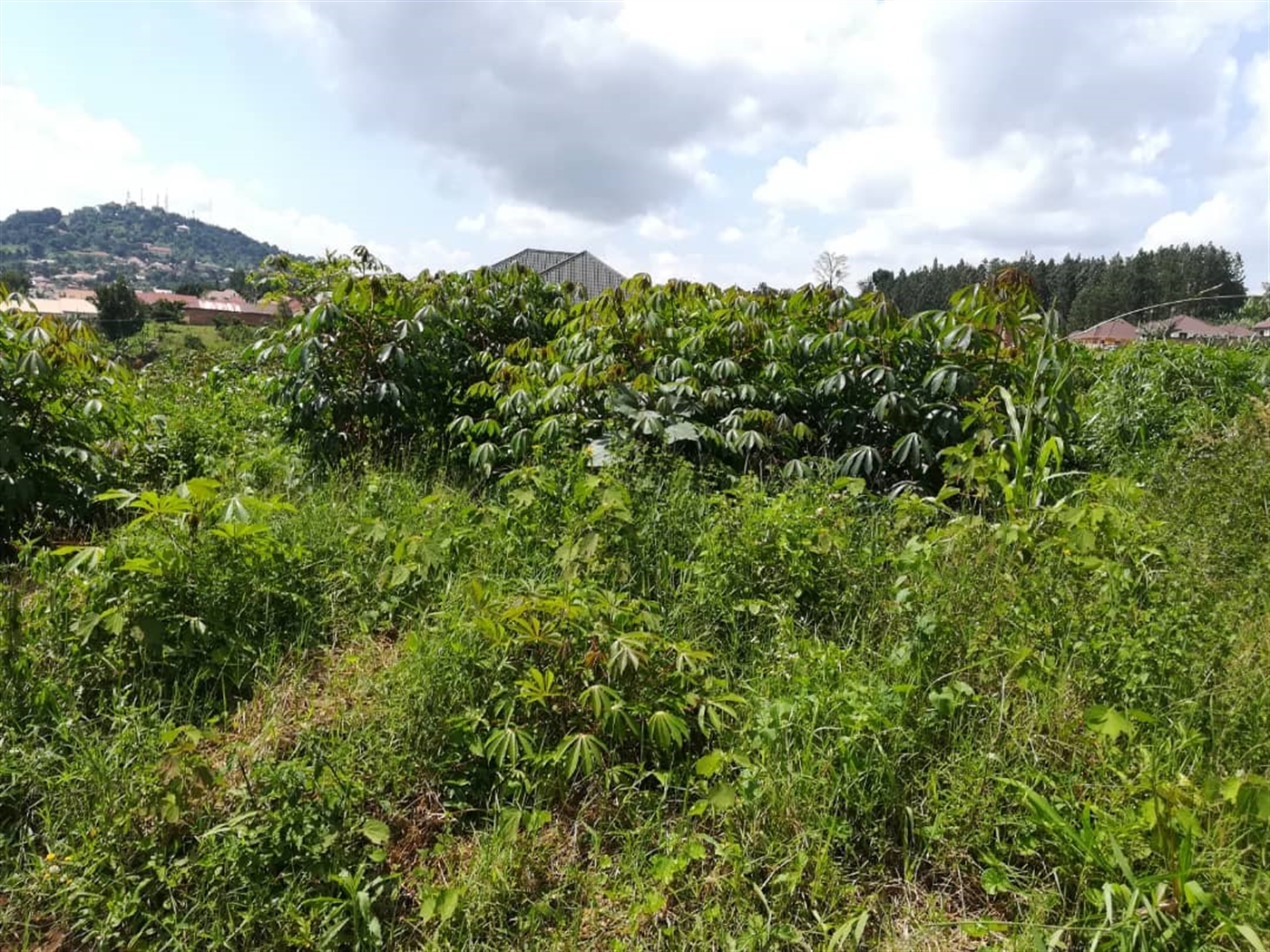 Residential Land for sale in Mpoma Mukono