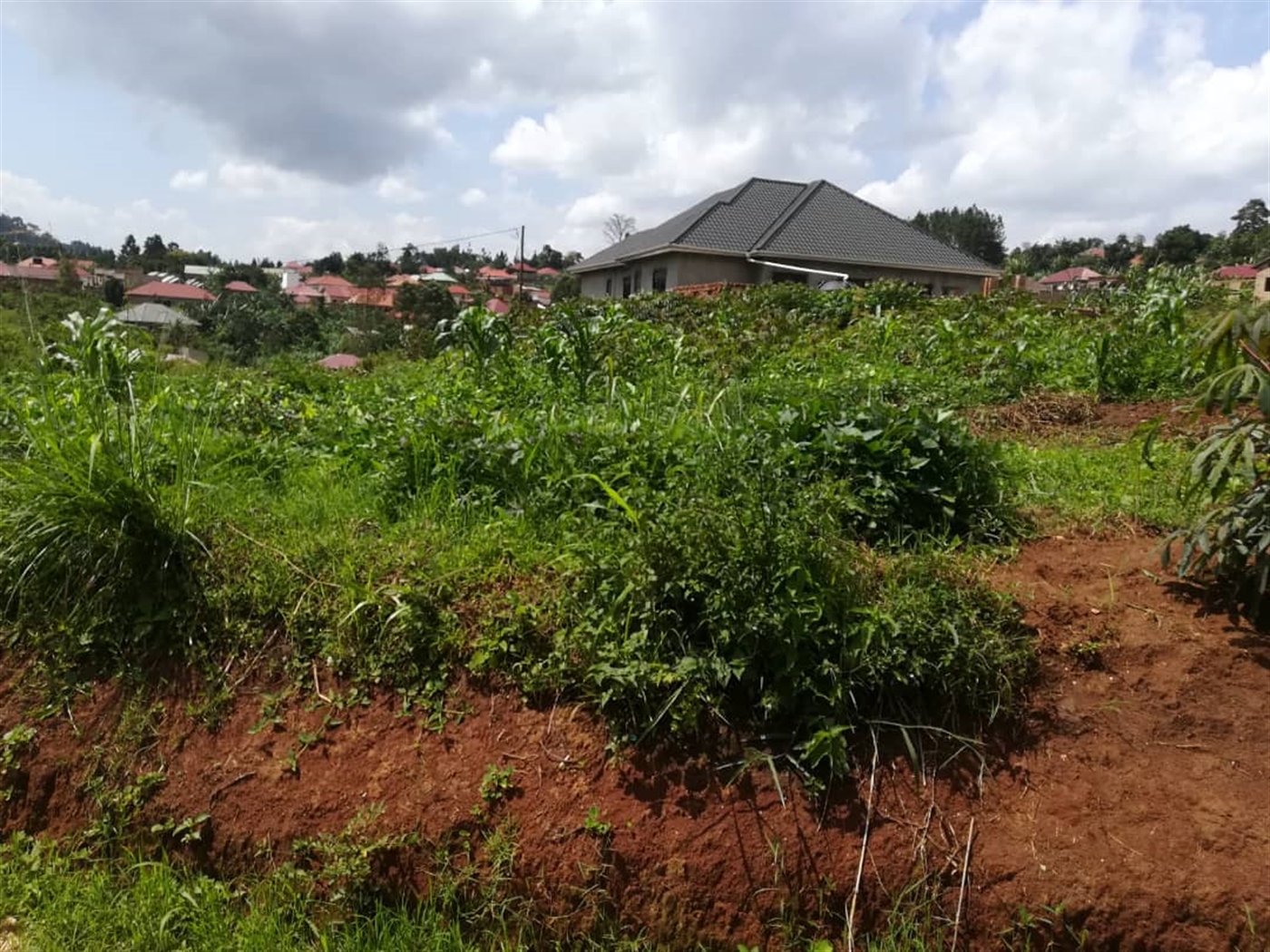 Residential Land for sale in Mpoma Mukono