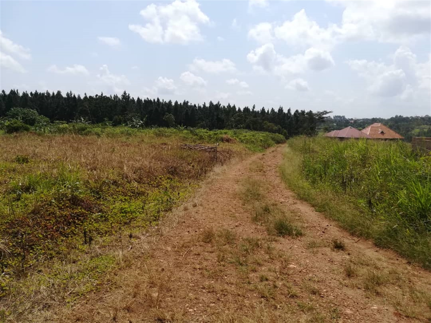 Residential Land for sale in Nsambwe Mukono