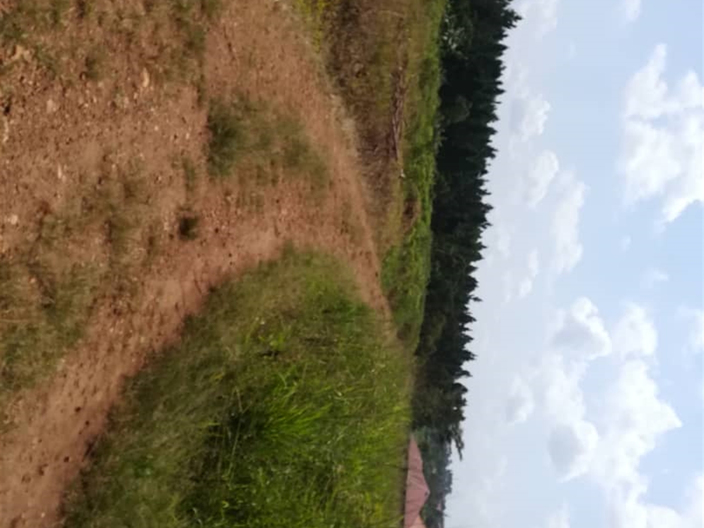 Residential Land for sale in Nsambwe Mukono