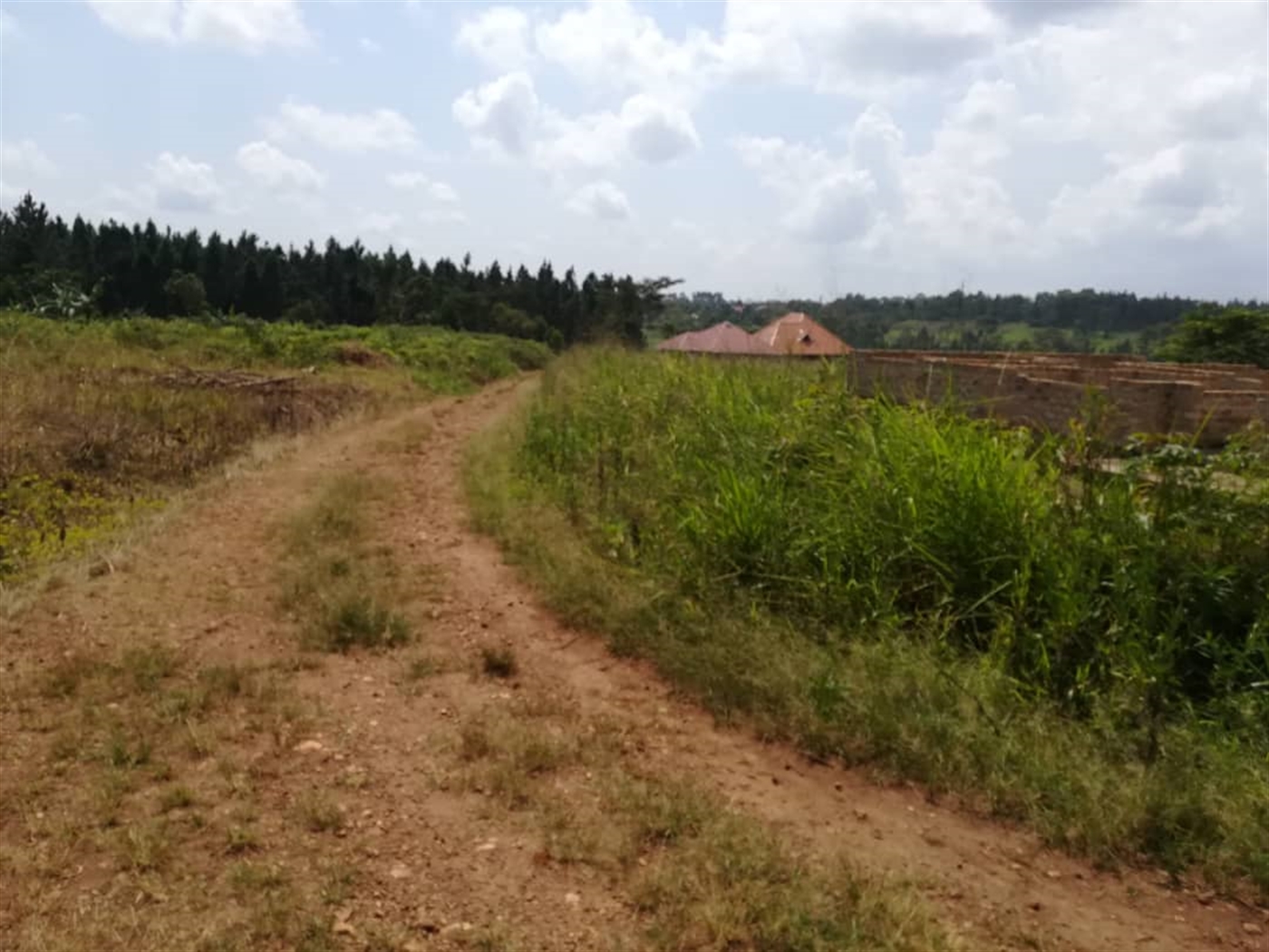 Residential Land for sale in Nsambwe Mukono